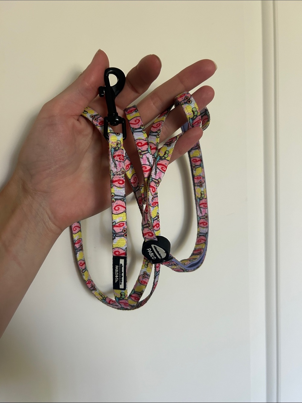 Pablo & Co. Gary the Snail Cat or Dog Leash • Nickelodeon SpongeBob Square Pants